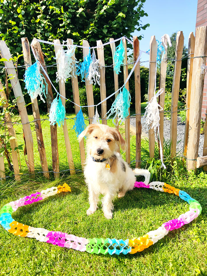 Staketenzaun Englisch mit Hund Geburtstag